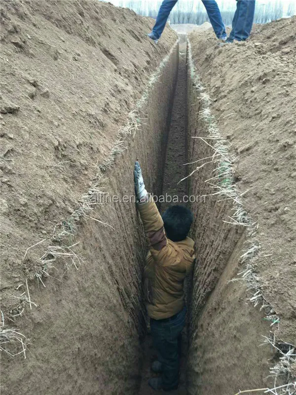 trencher machine  (34).jpg