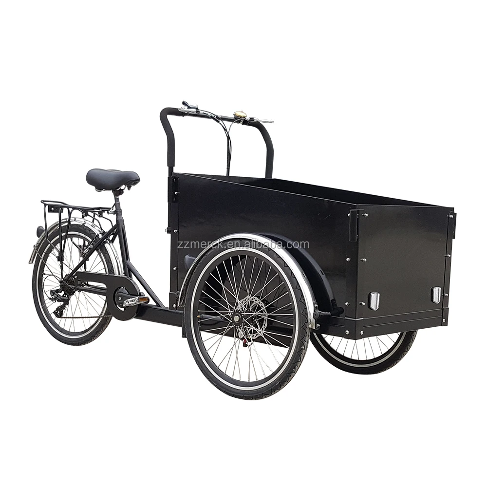 

Magazines and Mails Delivery Three Wheel Denmark Electric Trike Cargo Bike for Sale, Customized