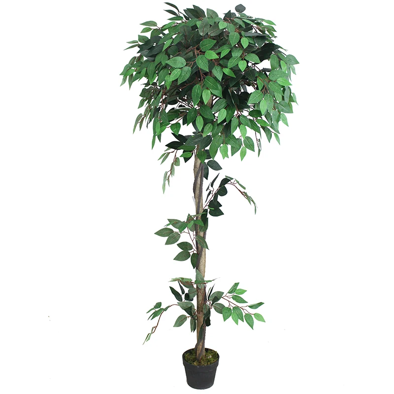 Ficus Artificiel Banian-180cm