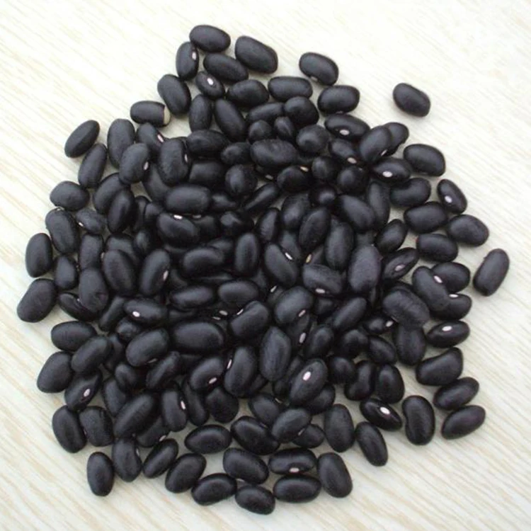 Bulk Sale Black Kidney Bean China Origin Dried Black Kidney Bean Buy