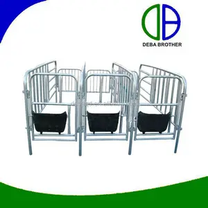 Pig Gestation Pen Pig Gestation Pen Suppliers And