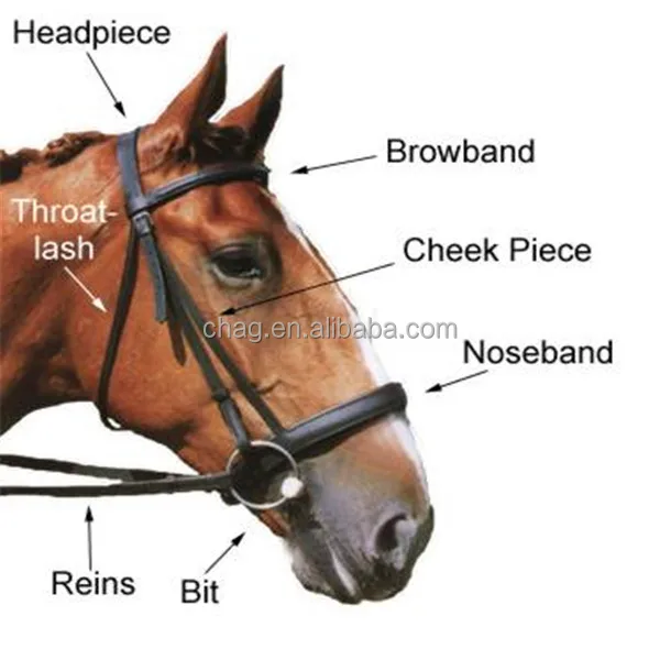 horsebit meaning