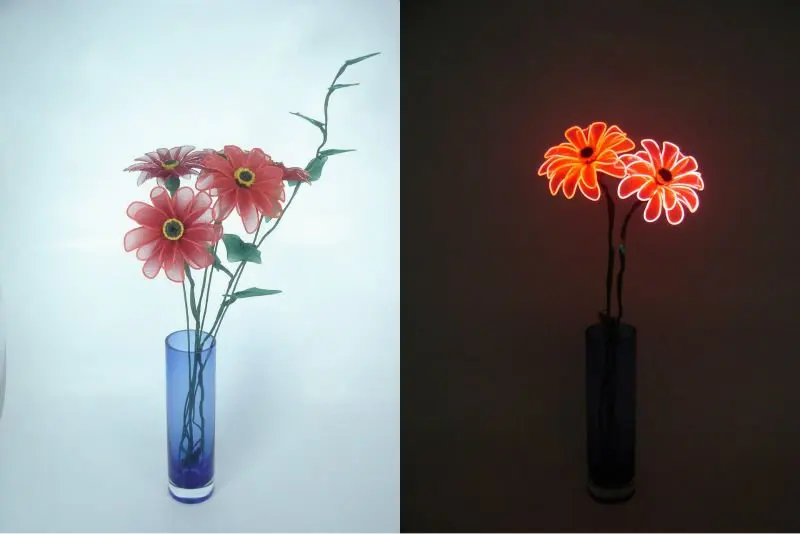 day and night flower.JPG