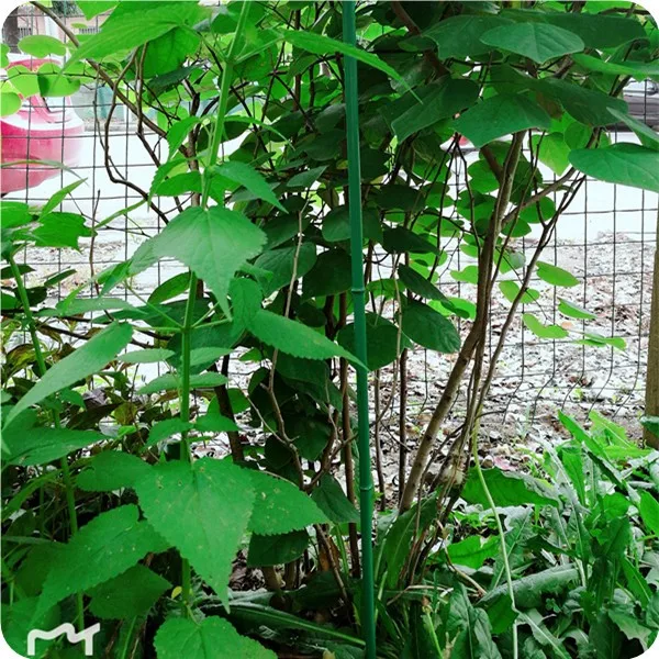 
Green plastic bamboo garden stakes wholesale 