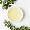 GMP Manufacture Kosher Approved clary sage seed oil low price