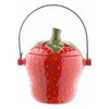 New Arrival Fruit Shaped Ceramic Food Waste Compost