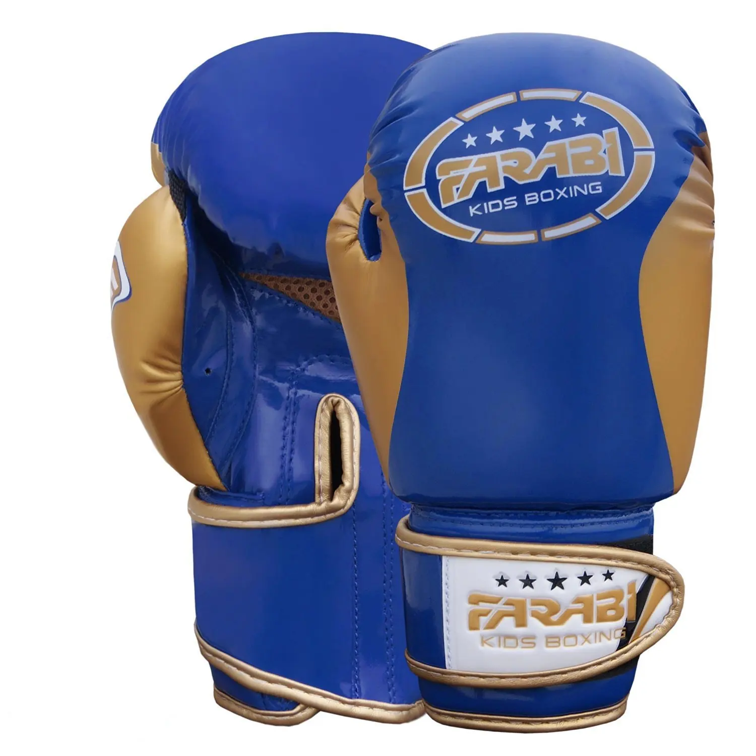 blue and gold boxing gloves