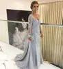 Wholesale Stores Sexy Mature Fishtail Tall Mother of the Bride Dress with Long Sleeves