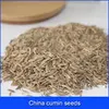 China cumin seeds