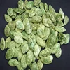 Roasted Pumpkin Seeds with Green Tea Flavor for sale