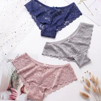 

Sexy Lace Panties Fashion Cozy Lingerie Tempting Pretty Briefs