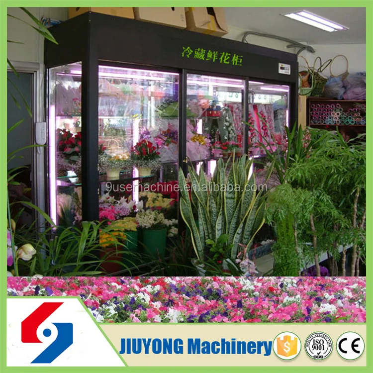 2015 World Popular Flower Freshkeeping Refrigerator Buy Flower Fresh