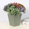 Factory Directly Sale Custom Design Small Air Plants Bonsai