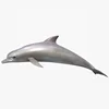 dolphin indoor display /dolphin fiberglass statue /exquisite dolphin statue