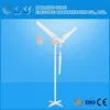 Horizontal Axis Maglev Wind Turbine 600w 24V 48V