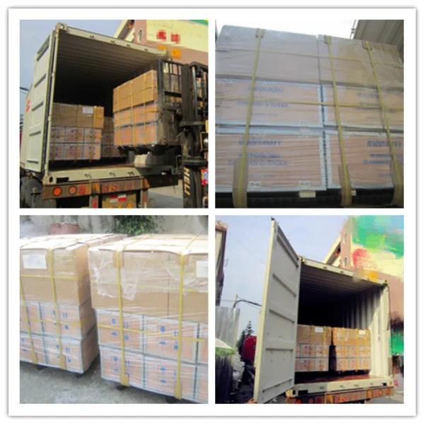 paste-pic-dp_uuid_ubhj5