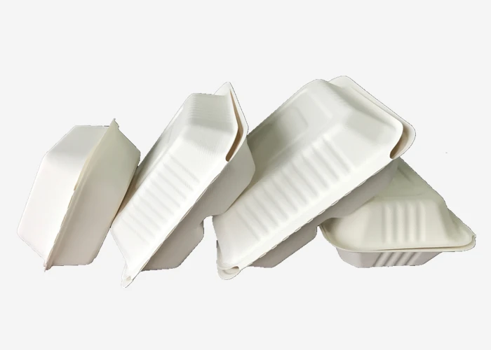 Biodegradable Disposable Tableware Paper Dishes Sugarcane Bagasse Food Box 