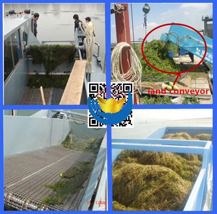 Lake Aquatic / Seaweed / Lavender / Weed Harvester For Sale