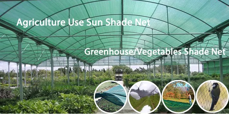 sun shade net.jpg