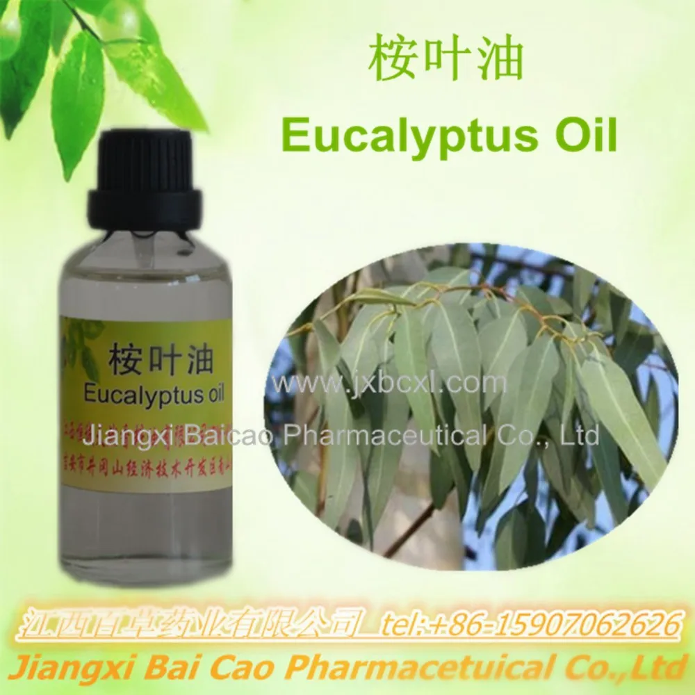 8000484 Eucalyptus Oil,100 Pure Natural Essential Oil Of Eucalyptus