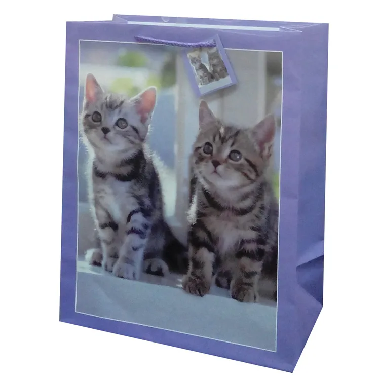 Jialan best price gift bags wholesale supply for gift packing-8