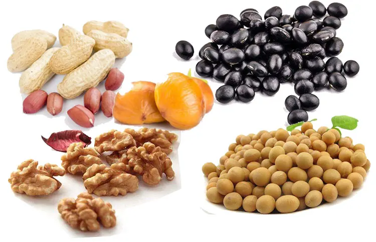 Dicing Machinery Walnut Crusher Pistachio Crushing Almonds Bean Cutter Chopper Cashew Nuts Peanut Chopping Cutting Machine details