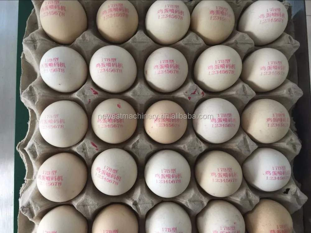 Cheap Price Egg Printing Machine - Batch & Expiry Date