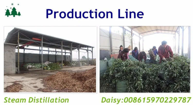 production line