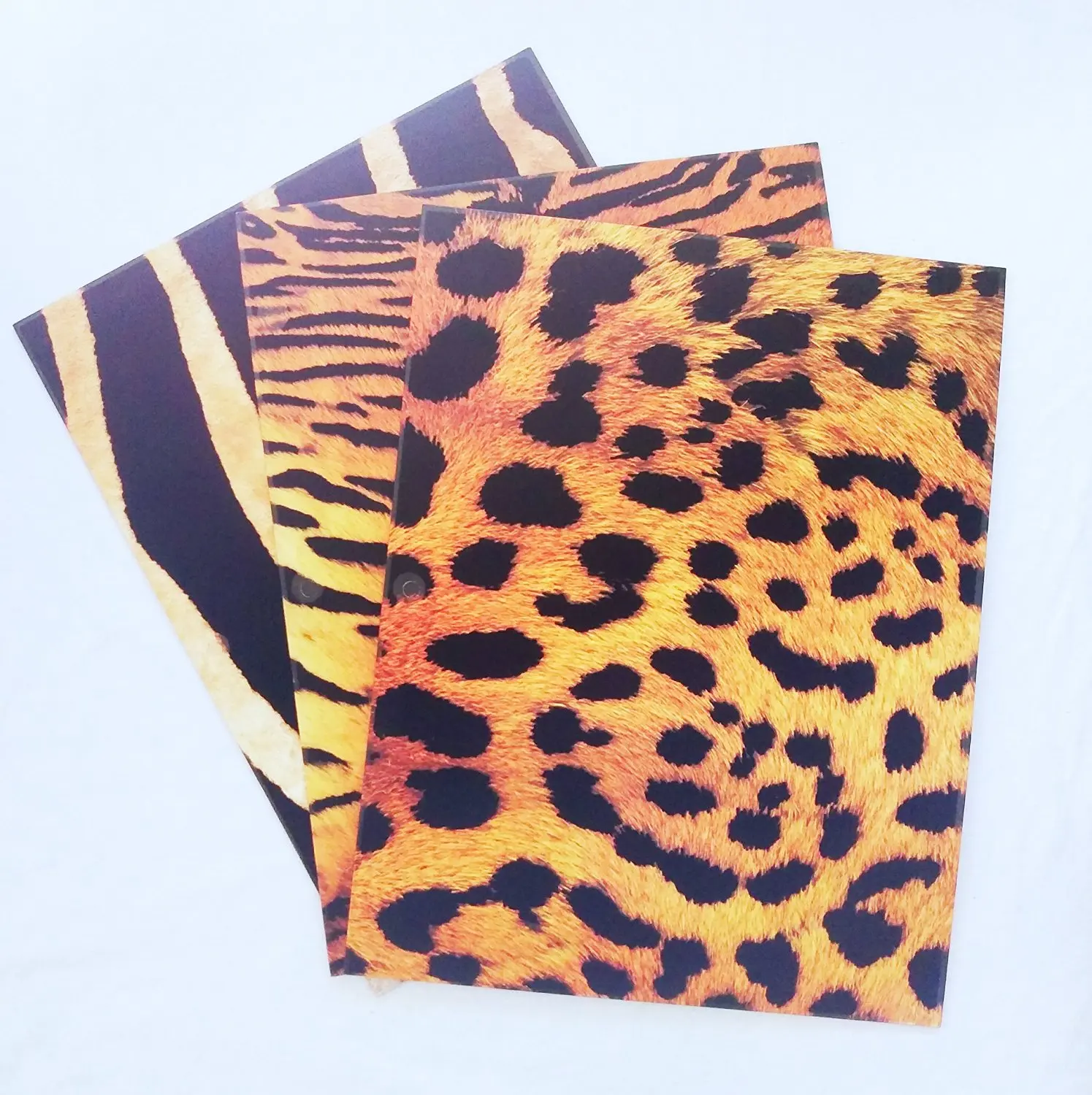 Leopard Animal Print FUNctional File Folders 12//pkg