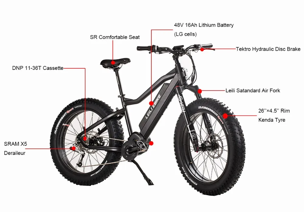 e raptor electric bike