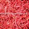 Tianjin red chillies