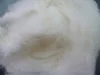 Carded chinese sheep wool with low wholesale price