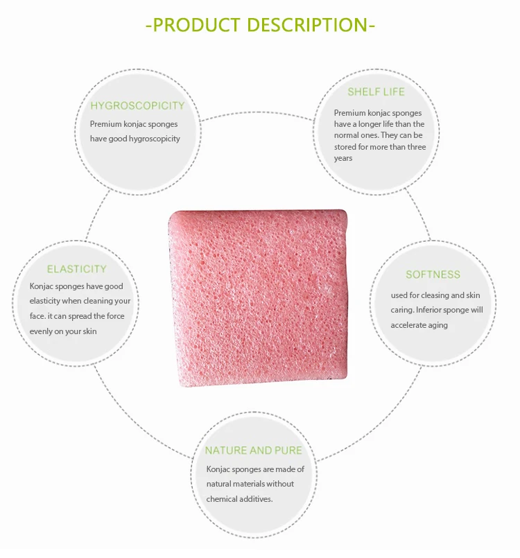 Different Sizes Compressed Cellulose Sponge Konjac Sponge For Face