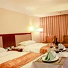Hotel bed sheets 600 thread count white for double bed,bed sheets for hotel,hotel sheets king size used