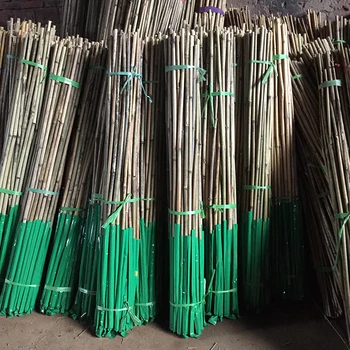 Cheap Price Straight Natural Bamboo Poles Lowes - Buy Bamboo Poles