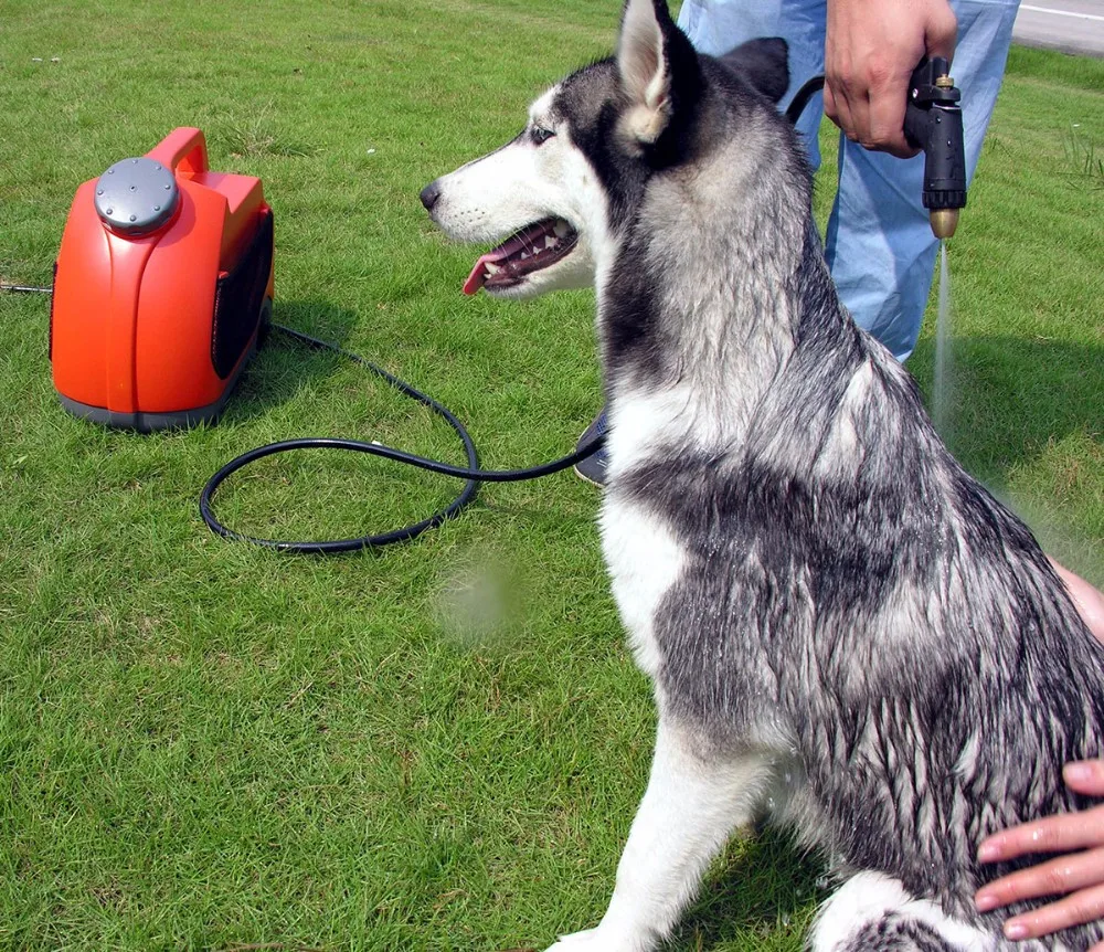 GFS-A1 ORANGE (29).jpg