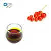 Factory supply bulk seabuckthorn seed oil
