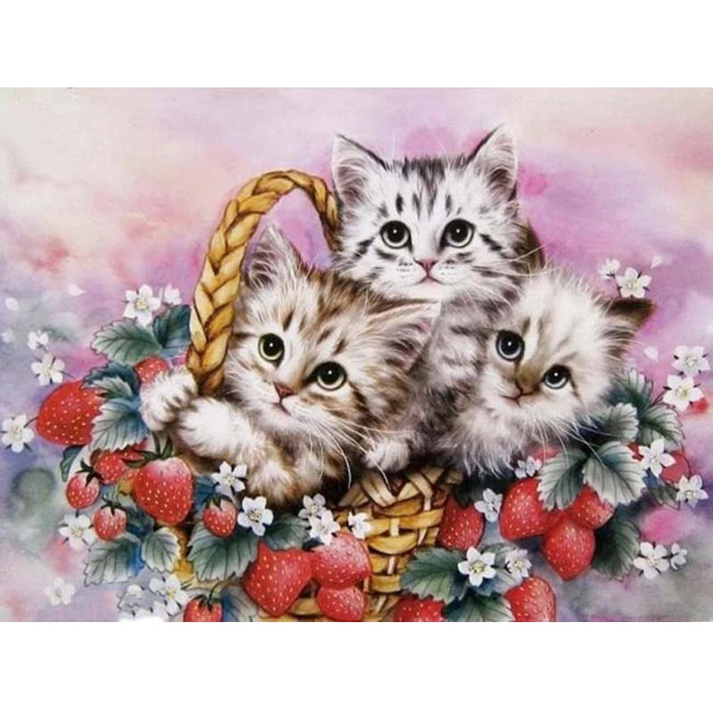 Дня отличного, открытки котенком