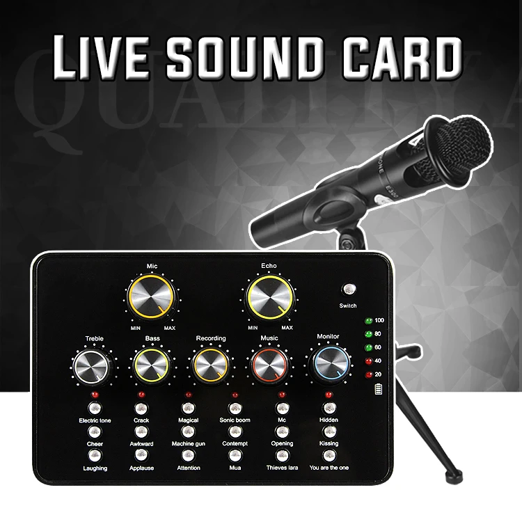 Baobaomi 2021 Professional V10 Microphone Sound Card Buy Condenser