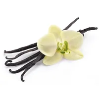 

OEM 100% pure natural vanilla plant extract vanilla essential oil for aroma diffuser/skin care/cosmetic/SPA