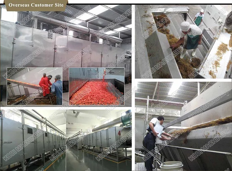 Overseas Product Site.jpg