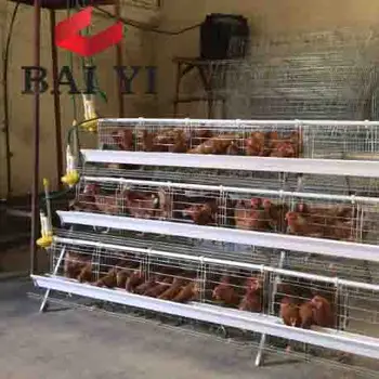 Desain Modern Peternakan Ayam Peternakan Ayam Petelur Kandang