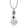 ZQ102 Huilin Dried flower life diy beads glass bulb long necklace.