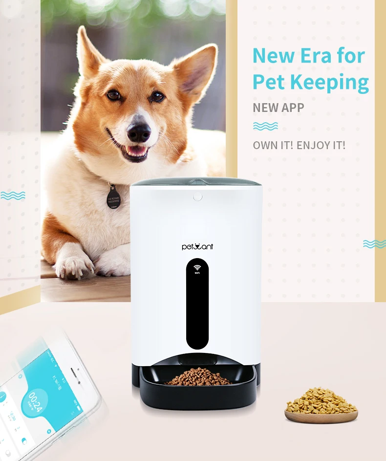 Petwant Smart Pet Feeder Wifi Automatic Dog Feeder Buy Smart Pet
