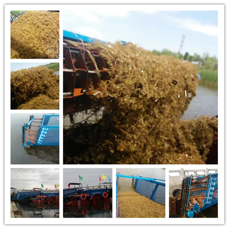 QQ20151007082708_44_.jpg