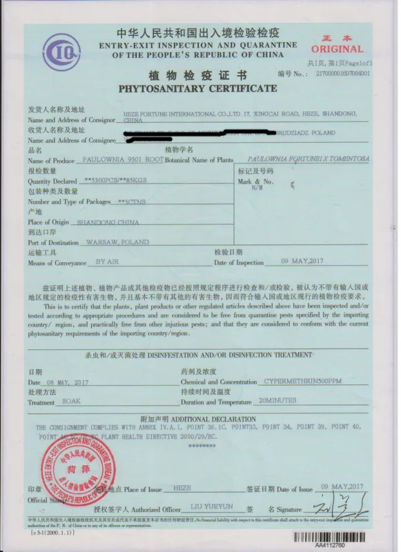 phy certificate