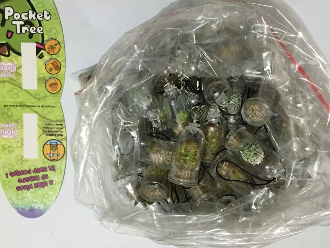 
UCHOME Yiwu factory mini plant PET TREE Wholesaler for Key Chains 