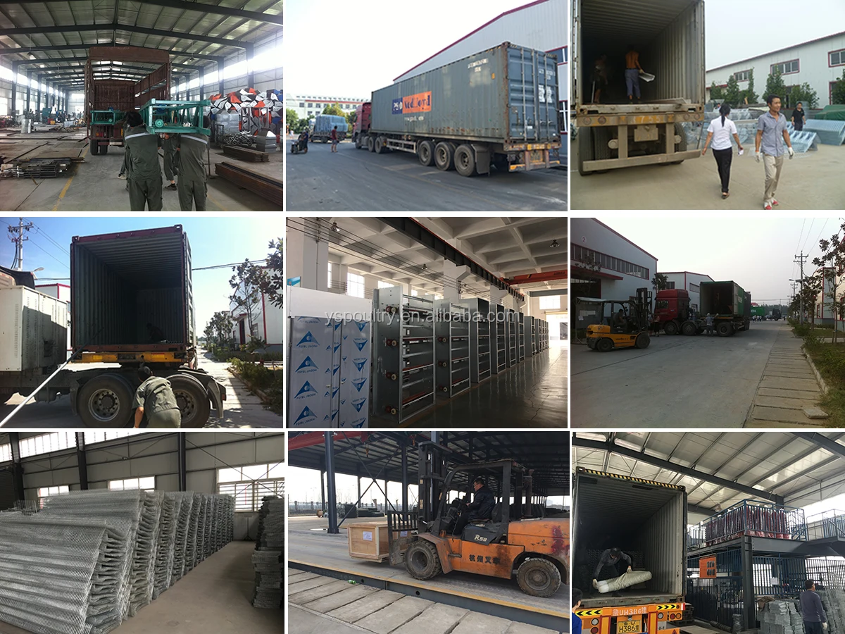 packing and shipping 2.jpg