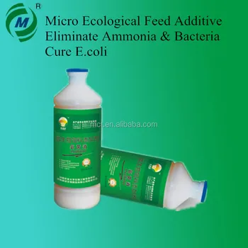 Mikro Ekologi Aditif Pakan Menghilangkan Amonia Bakteri Menyembuhkan E Coli Buy Mikro Ekologi Aditif Pakan Mikro Ekologi Aditif Pakan Menghilangkan Amonia Bakteri Mikro Ekologi Aditif Pakan Menghilangkan Amonia Bakteri Menyembuhkan E Coli