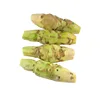 Shan Kui Gen Fresh Eutrema Japonicum/Japanese Horseradish/Wasabi Root for Pungent Condiment